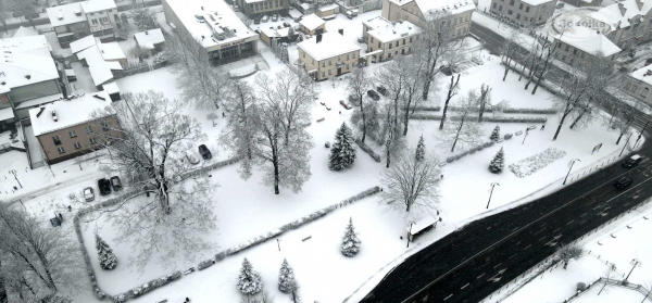 Sok&oacute;łka pod śniegiem [Film]