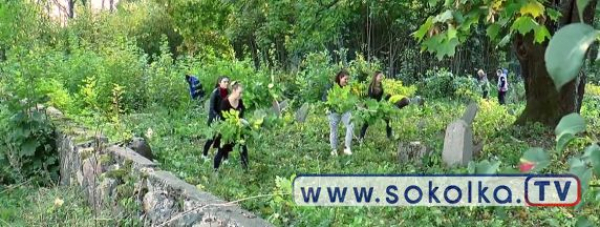 Sprzątanie cmentarza żydowskiego w Sok&oacute;łce [Film]