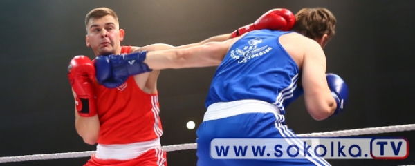 Sok&oacute;łka Boxing Show: Jerzy Lis kontra Marcin Maliton [Zdjęcia]