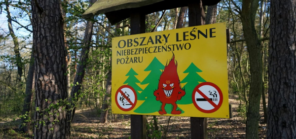 Wzrost temperatury oraz brak opad&oacute;w spowoduje w tym tygodniu wzrost zagrożenia pożarowego w lasach