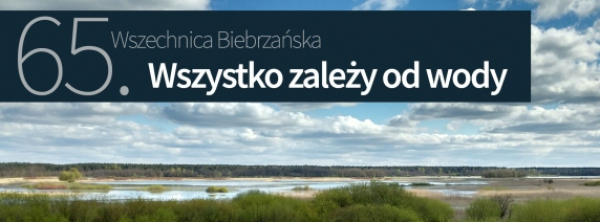 Biebrzański park narodowy zaprasza do udziału w 65. Wszechnicy Biebrzańskiej [Plakat]