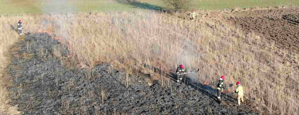 NA SYGNALE: Pożar na ulicy Dolnej w Sok&oacute;łce [Film, DRON]