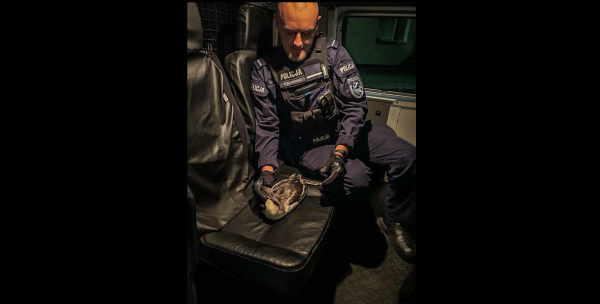 Nietypowa interwencja augustowskich policjant&oacute;w