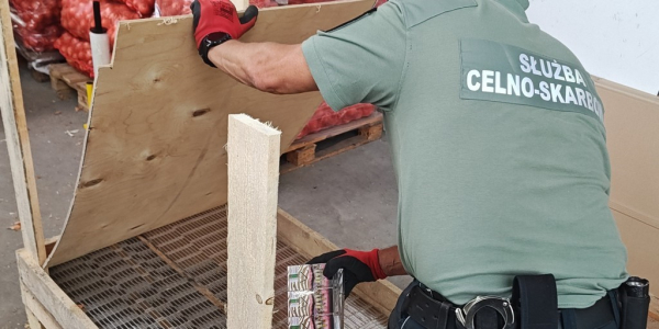 Przemyt papieros&oacute;w ukrytych w skrzyniach z cebulą udaremniony przez podlaską KAS