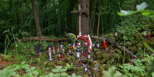 Ukraiński IPN planuje w przyszłym roku poszukiwania szczątk&oacute;w ofiar tragedii wołyńskiej