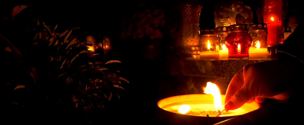 Tajemnice sok&oacute;lskich nekropoli. Cmentarz Ewangelicki