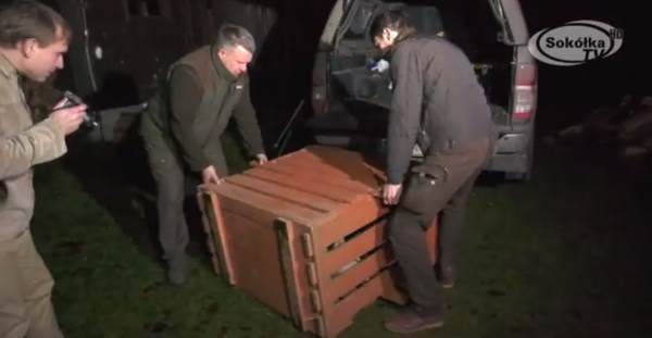 "Napromek" nowym domem Wilka [Film]