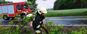 Pracowity wtorek strażaków