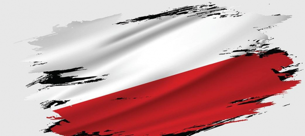 Koncert i wsp&oacute;lne śpiewanie pieśni patriotycznych [Plakat]