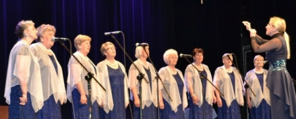 Wojew&oacute;dzki Przegląd ARS 2018 [Zdjęcia]