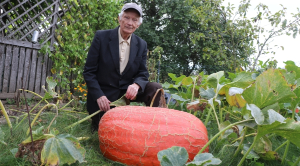 Bez sztucznych nawoz&oacute;w urosło ogromne warzywo [Zdjęcia]
