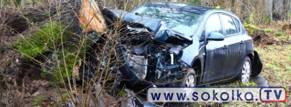 NA SYGNALE: Opel roztrzaskał się o konar drzewa [Film i Zdjęcia]