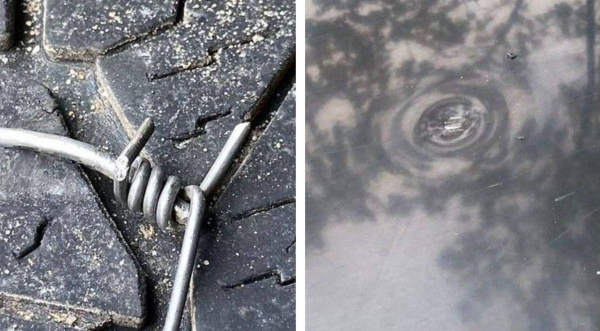 Działo się na granicy polsko-białoruskiej