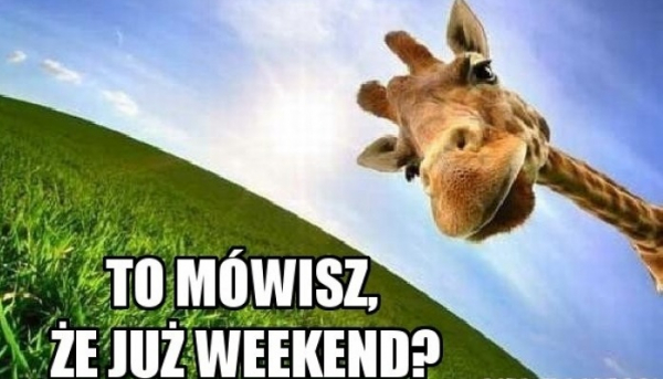 Co czeka nas w ten WEEKEND w powiecie sok&oacute;lskim