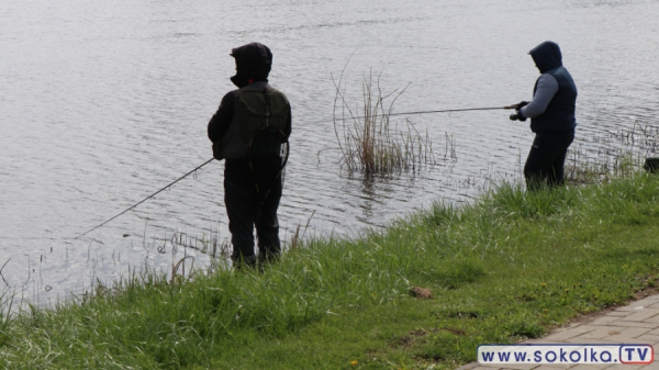 Maraton Karpiowy o Puchar Starosty Sok&oacute;lskiego