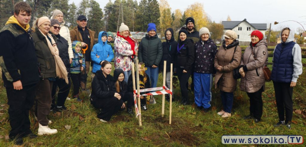 W bazie KAMIONEK posadzono symbol jedności pokoleń – kolejny etap projektu „Rozmowy Pokoleniowe”
