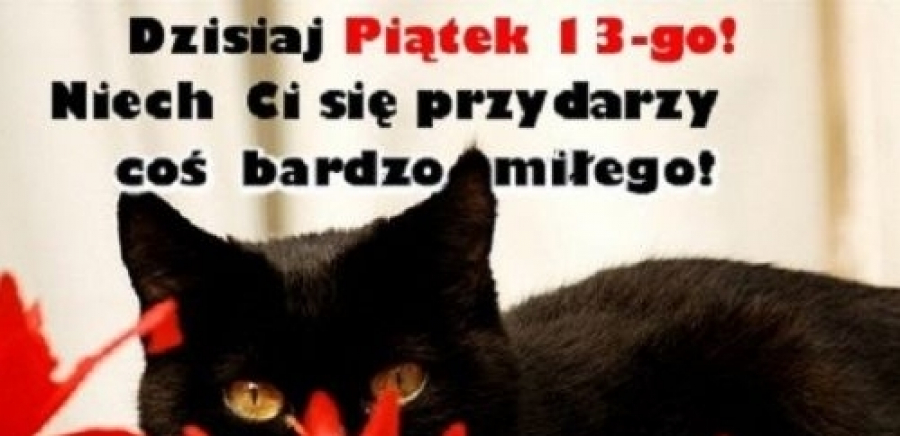 Znalezione obrazy dla zapytania: piatek 13"