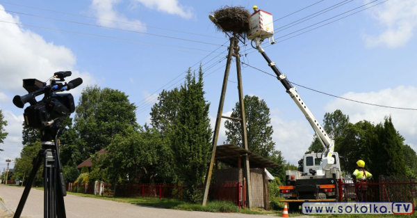 Bociany z Jaczna pod lupą – obrączkowanie młodych i kontrola gniazda
