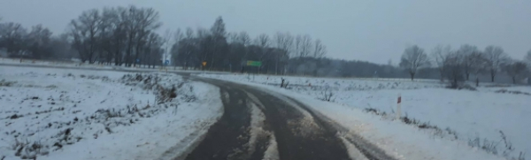 Nowy Dw&oacute;r pod śniegiem [Zdjęcia]