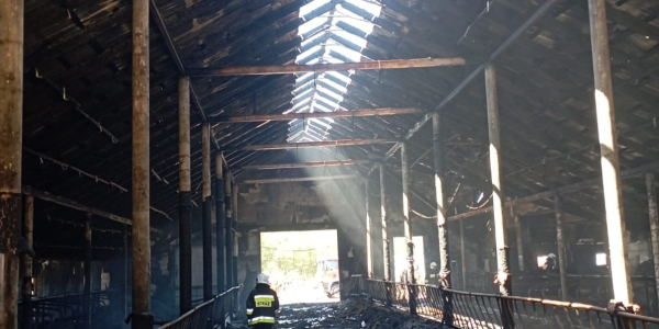 Rok 2025 w ochronie przeciwpożarowej powiatu sok&oacute;lskiego &ndash; podsumowanie PPSP.