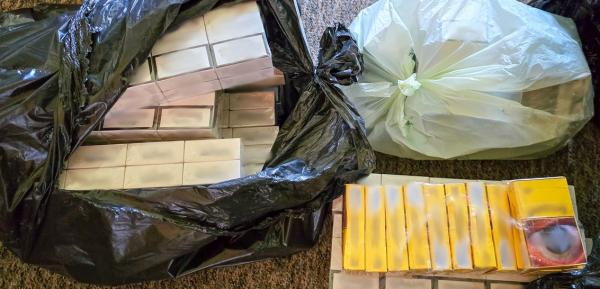 Ponad 700 paczek nielegalnych papieros&oacute;w nie trafiło na rynek