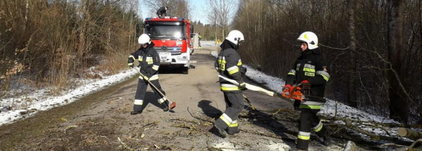 NA SYGNALE: Powalony konar zablokował drogę [Zdjęcia]