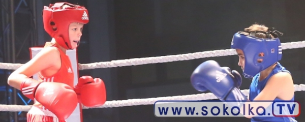 Sok&oacute;łka Boxing Show: Mali gladiatorzy zmierzyli się na ringu [Zdjęcia]