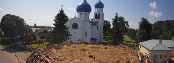 Sezon z bocianim gniazdem 2021 dobiegł końca [Film]