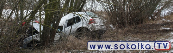 NA SYGNALE: VW Golf "wylądował" na drzewie [Film i Zdjęcia]