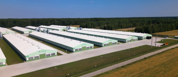 Zielone Fermy Wipasz S.A. odchowują kurczęta bez antybiotyk&oacute;w i GMO