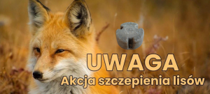 fot. https://bialystok.wiw.gov.pl/