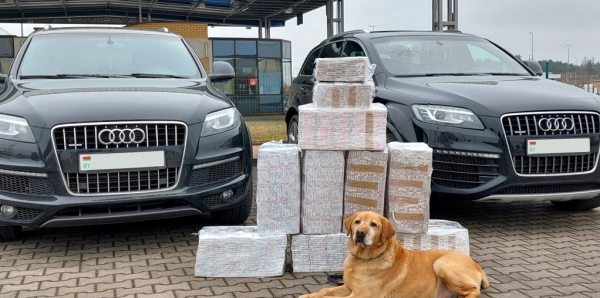 Labrador Odi kontra przemytnicy papieros&oacute;w