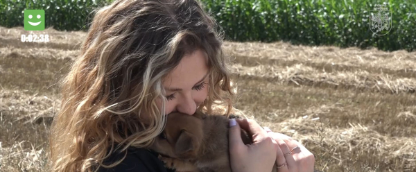 Cztery łapy i jedna historia - wizyta w sok&oacute;lskim schronisku