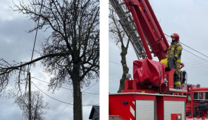 Strażacy usunęli wiszący nad chodnikiem konar