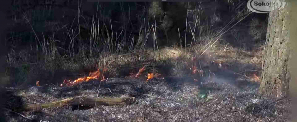 NA SYGNALE: Kolejny pożar trawy i zabezpieczenie lądowania śmigłowca