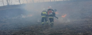 NA SYGNALE: Ogień objął około 0.5 ha nieużytków [Zdjęcia]