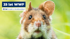 25 lat WWF Polska &ndash; Pasja, kt&oacute;ra zmienia świat na lepsze.