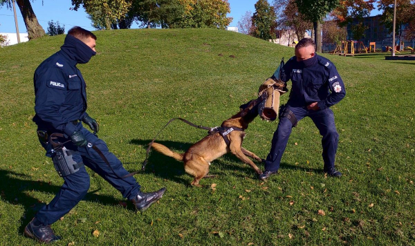 Sok&oacute;lscy policjanci z wizytą u przedszkolak&oacute;w [Zdjęcia]