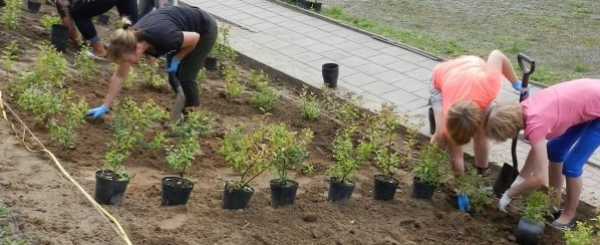 Mieszkańcy wsp&oacute;lnie tworzą wizyt&oacute;wkę swego miasta [Zdjęcia]