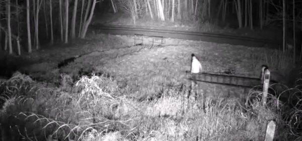 Kolejni cudzoziemcy pr&oacute;bowali nielegalnie przekroczyć granicę naszego państwa