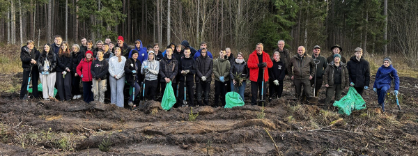 Dwuletnie sadzonki świerka posadziła młodzież z 4 szk&oacute;ł Powiatu Sok&oacute;lskiego