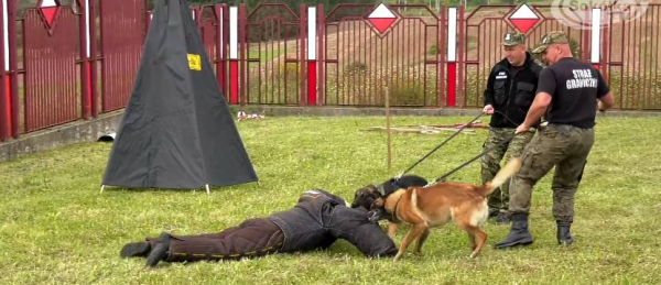 II Zawody Kynologiczne Ps&oacute;w Służbowych w Kuźnicy [Film]