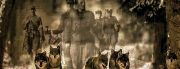 VI Marsz Pamięci Żołnierzy Wyklętych w Sok&oacute;łce [Plakat]