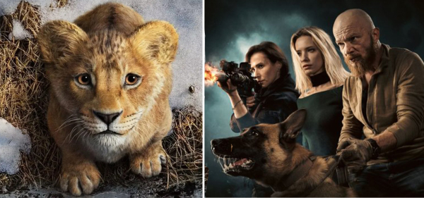 Repertuar sok&oacute;lskiego kina