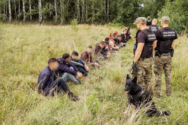 Coraz więcej migrant&oacute;w pr&oacute;buje przekroczyć polsko-białoruską granicę - nowe dane MSWiA