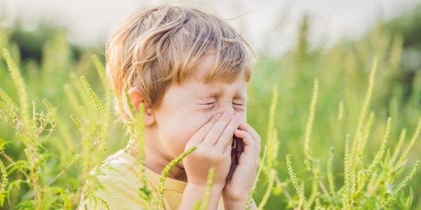 Dzieci odetchną z ulgą &ndash; terapia podjęzykowa dostępna dla najmłodszych alergik&oacute;w