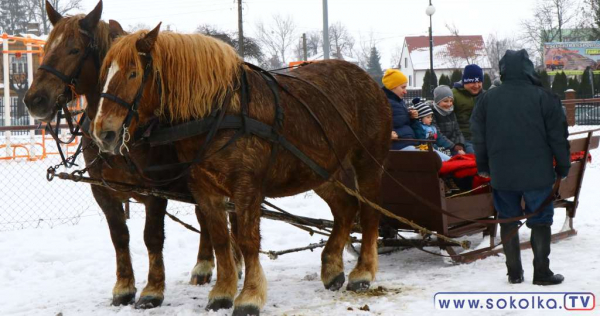 Kulig, ognisko i narty biegowe. Takie atrakcje tylko w Sokółce [Film i Zdjęcia]