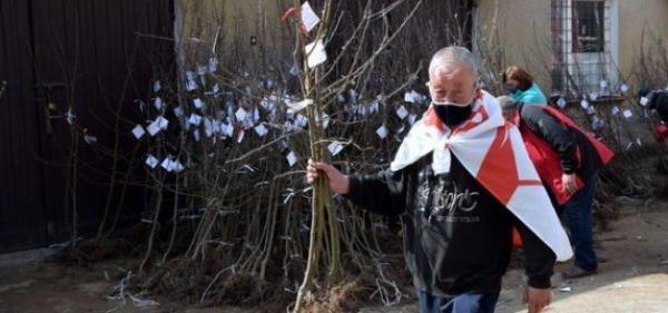 Po patriotyczne &bdquo;Jabłonie Ewy&rdquo; od rana ustawiały się kolejki chętnych