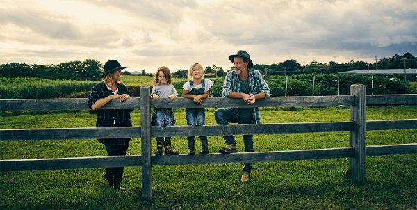 Ubezpieczenia dla rolnika - wszystko, czego potrzebuje, znajdzie w nowym Pakiecie AGRO od Wienera